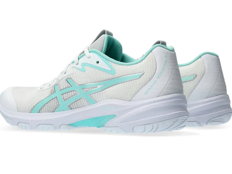 NETBURNER PROFESSIONAL FF 4