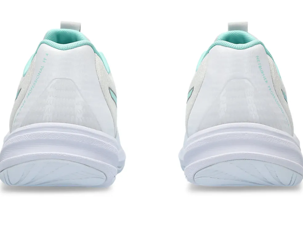 NETBURNER PROFESSIONAL FF 4