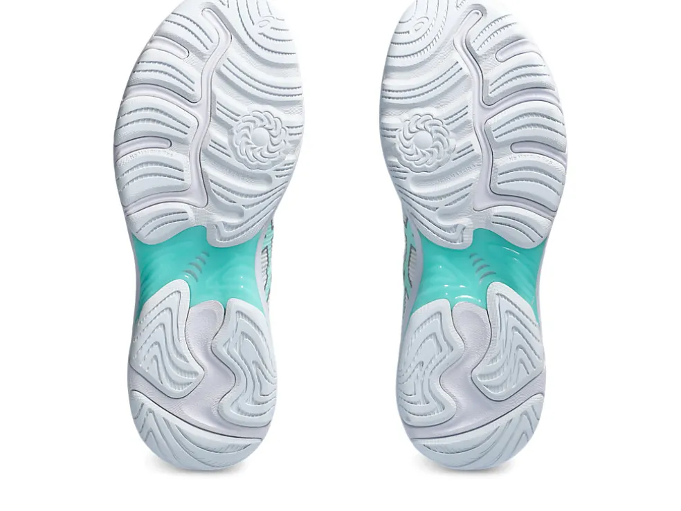 NETBURNER PROFESSIONAL FF 4