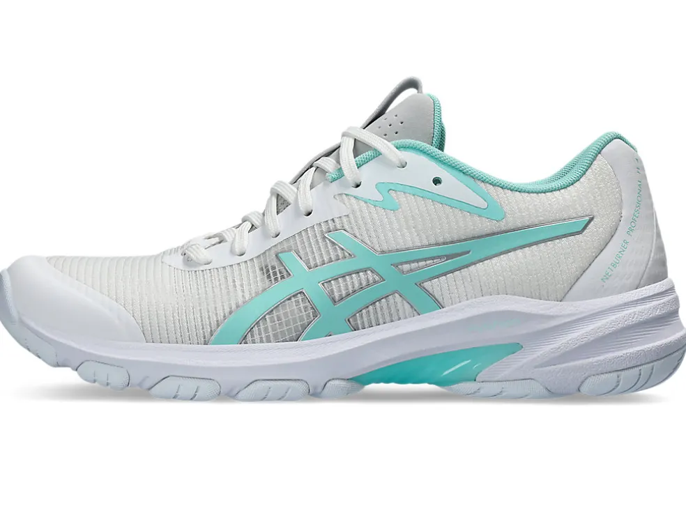 NETBURNER PROFESSIONAL FF 4