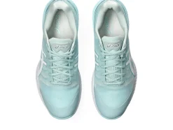 NETBURNER PROFESSIONAL™ FF 3