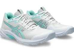 NETBURNER PROFESSIONAL FF 4